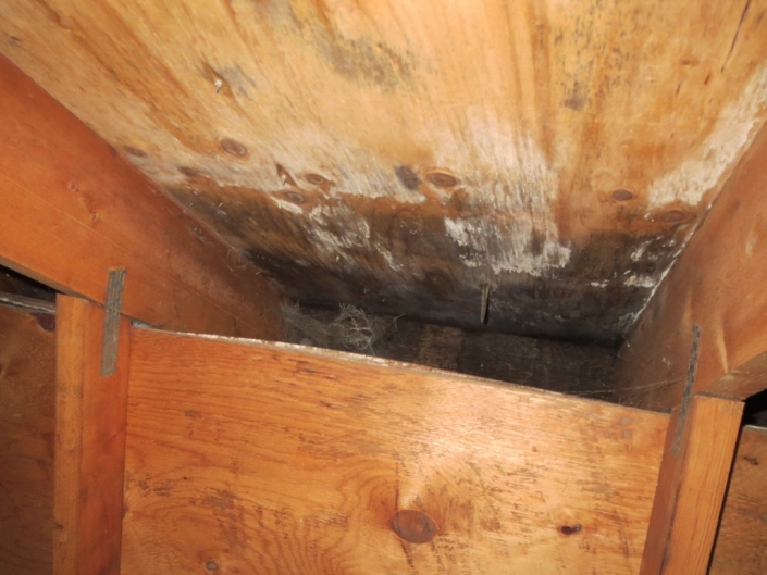 Incorrect installation of insulation can have serious consequences