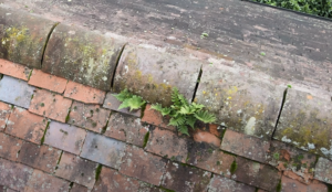 Ridge tiles to pitched roof