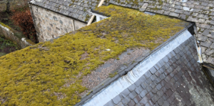 Flat roof